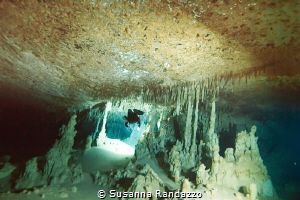 Otoch Ha cave, Mexico
(14 mm,1/40,f4,iso800) by Susanna Randazzo 